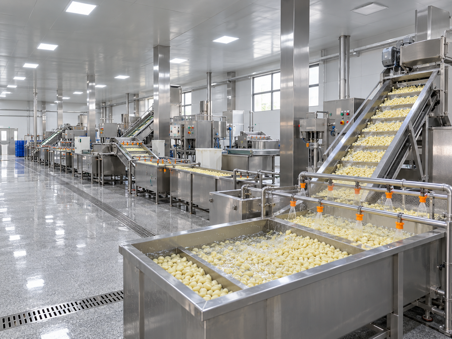 Chengyu Foods processing equipment