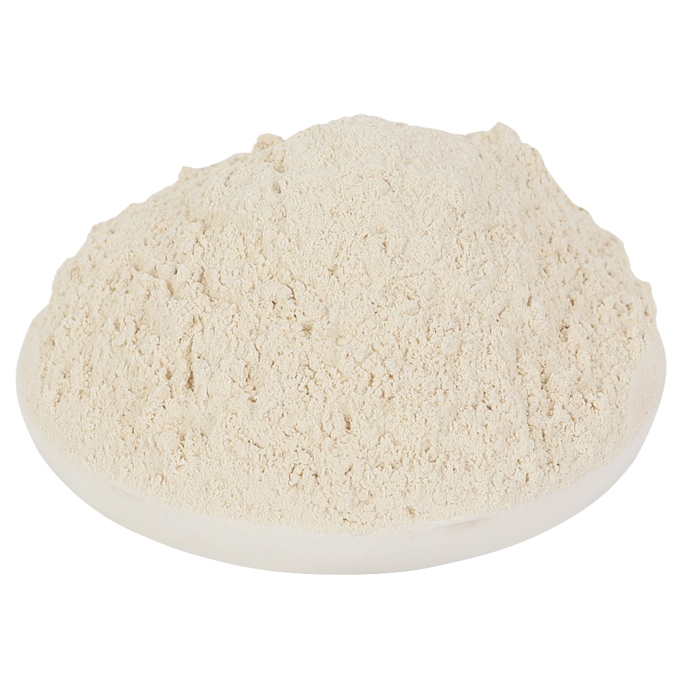 Garlic Powder — reference product photograph