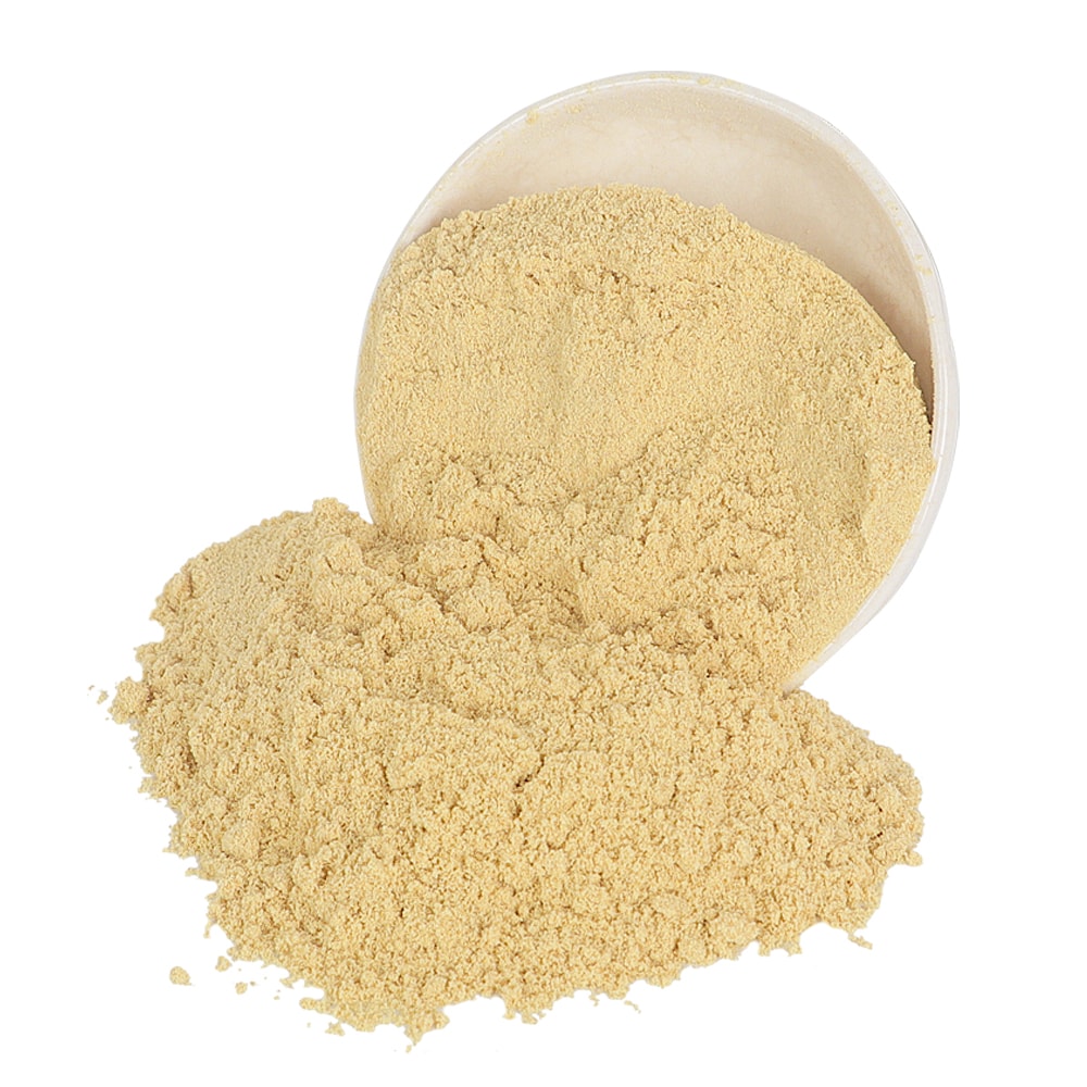 Ginger Powder — reference product photograph